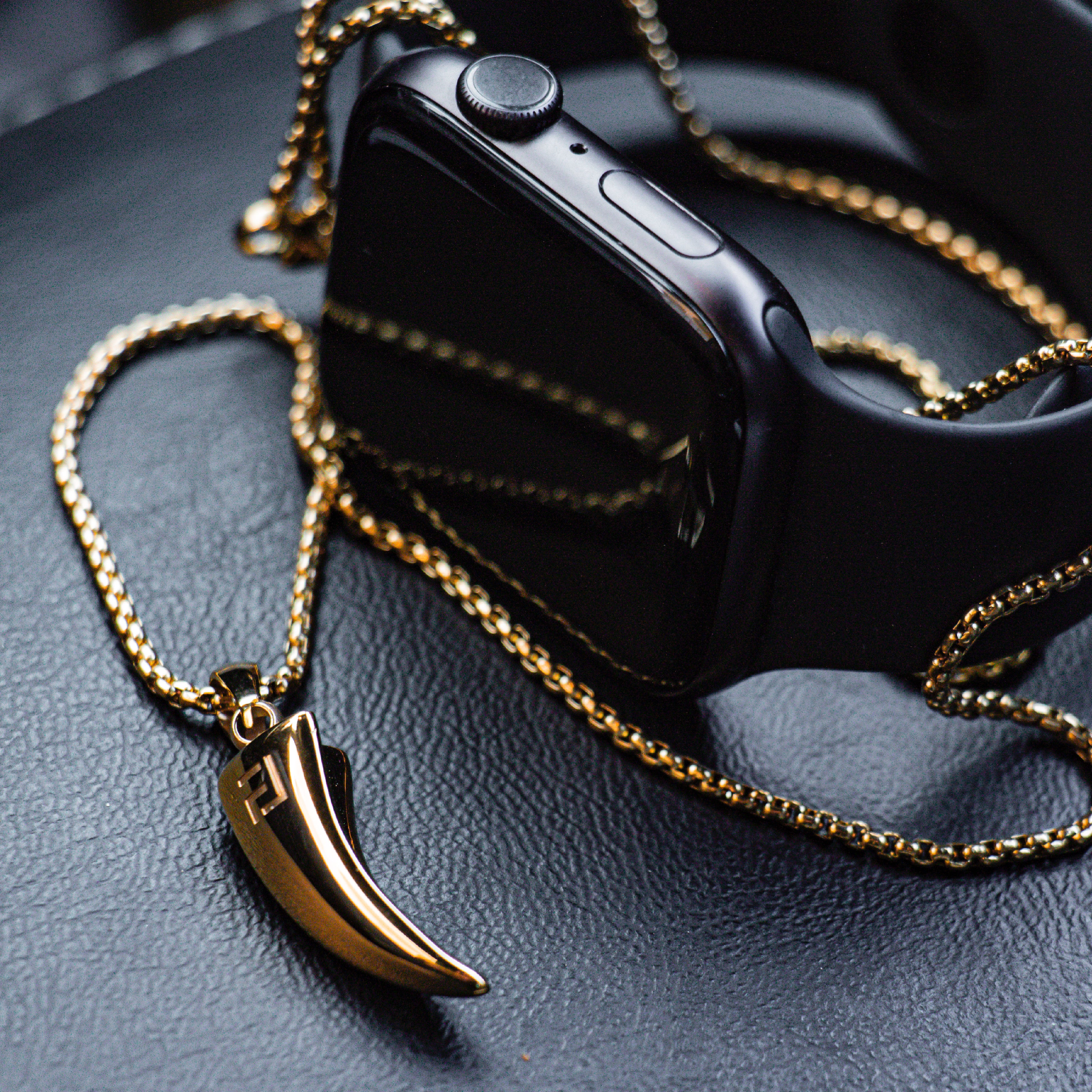 Tiger Claw Necklace in Gold